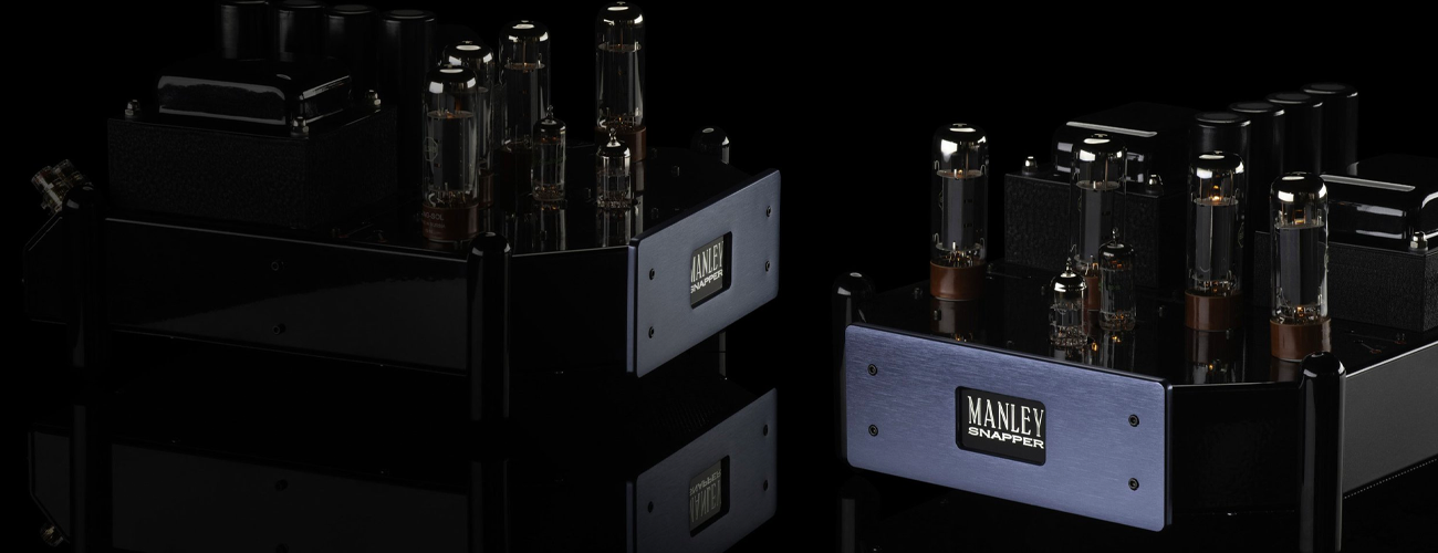 Dual SNAPPER monoblocks from Manley Labs
