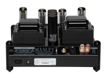 Rear view of Manley's Snapper amp in Black