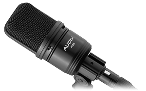 The Audix A133 Condenser Microphone