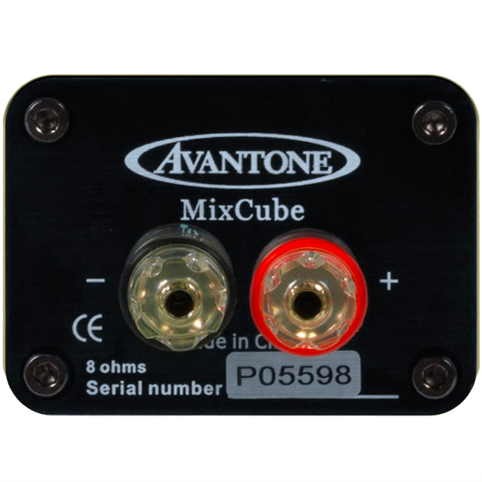 MixCube passive speaker terminals