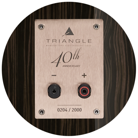 40th Anniversary Santos Rosewood finish and rear input panel