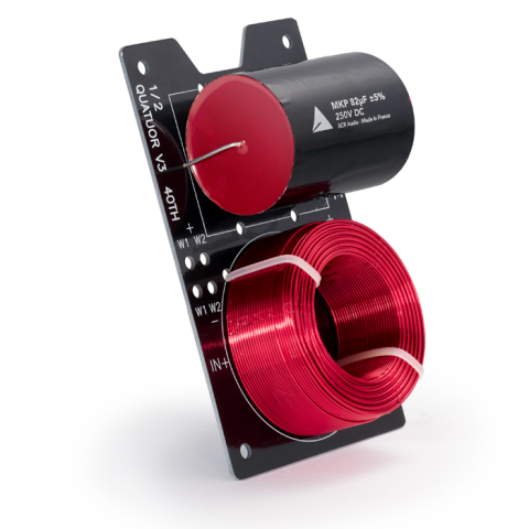 Triangle's Magellan 40th series bass driver crossover