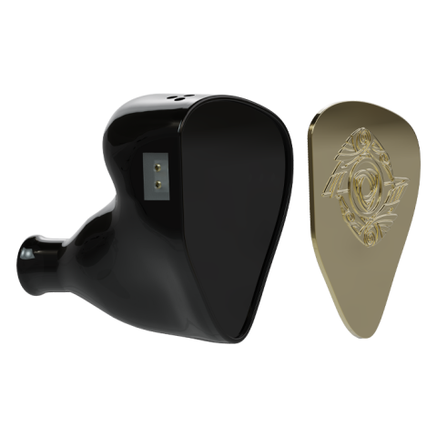 Raven's 316L Steel faceplate