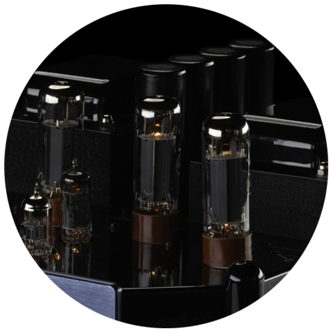 Manley SNAPPER's EL34 tubes