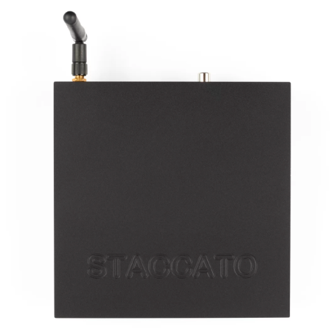 EarMen Staccato streamer top-view