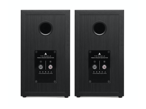 Rear view of BR02 Black Ash bookshelf speakers